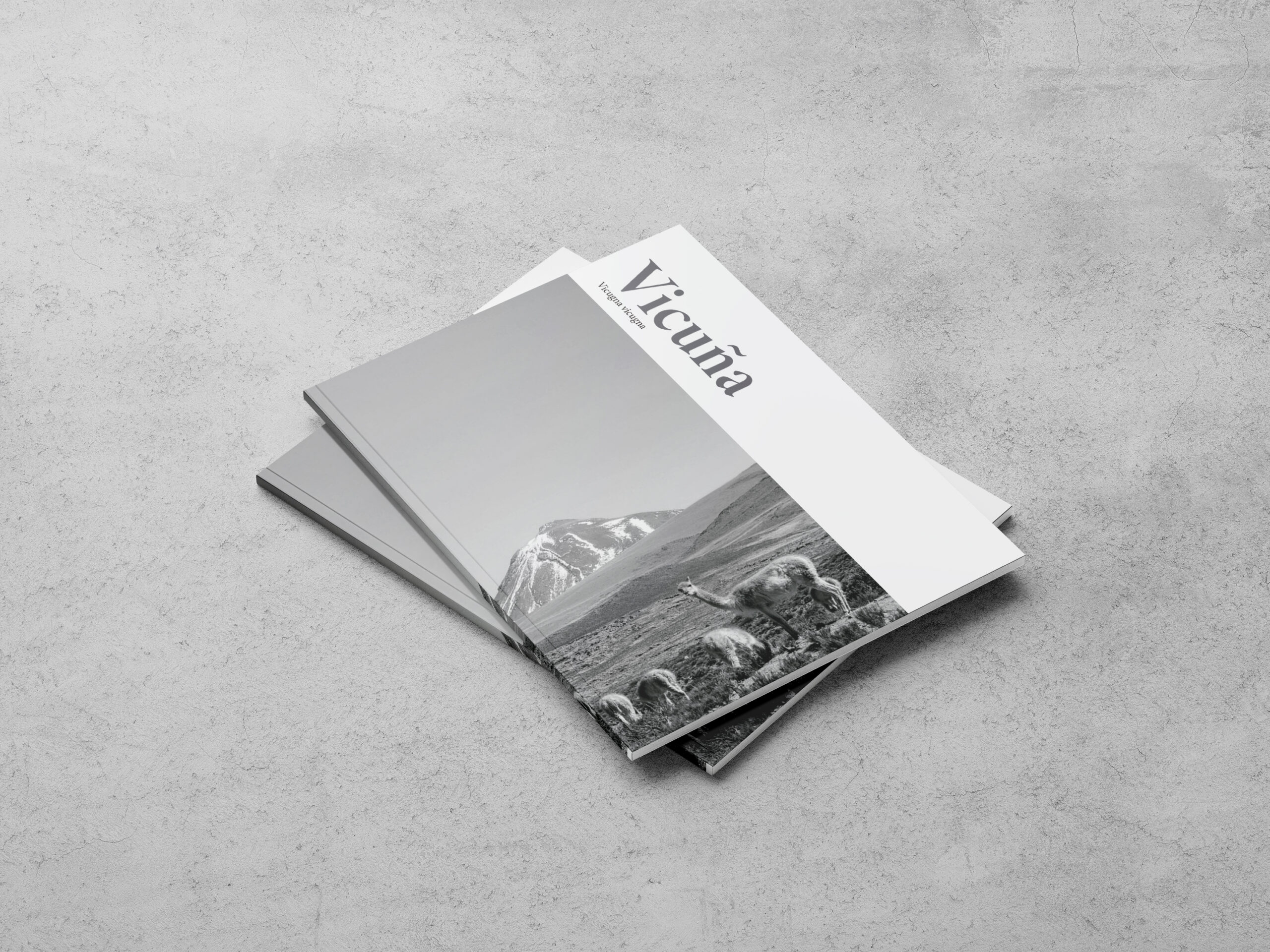 Revista informática Vicuña - 4