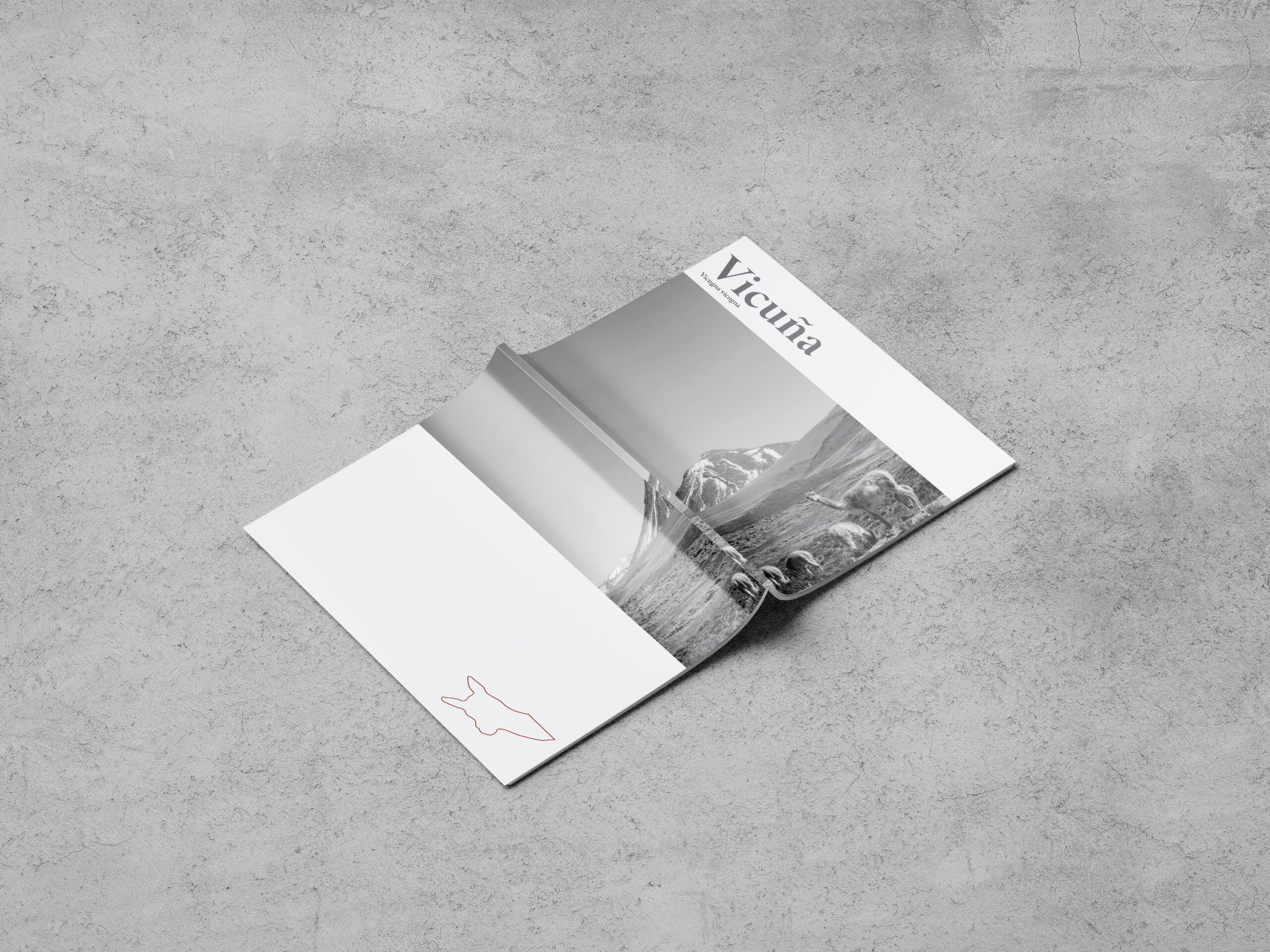 Revista informática Vicuña - 1